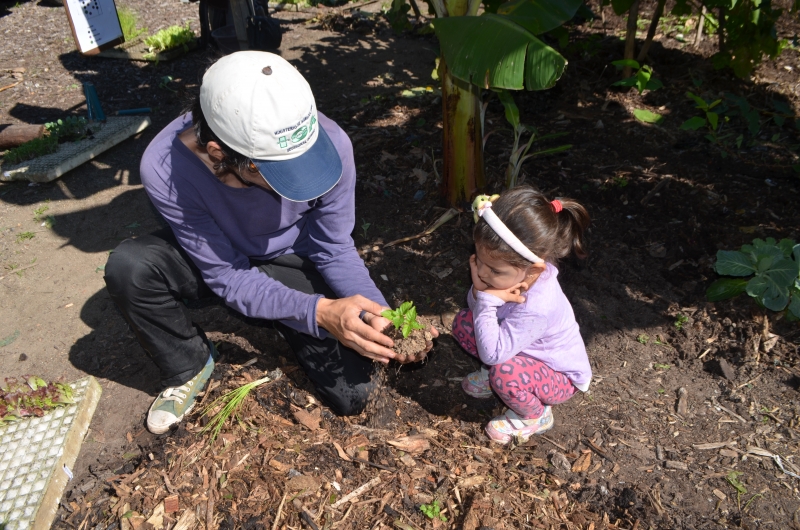 Parque Jardim Botânico registra 2 mil visitantes por final de semana
