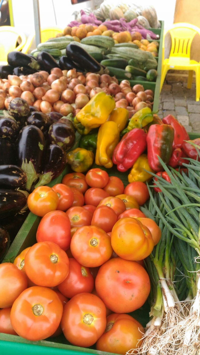 Todo sábado tem novidade na Feira de Orgânicos 