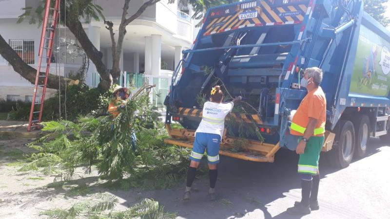 Coleta de verdes atende quatro bairros na semana que vem