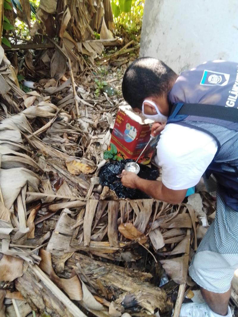 Equipes de combate às endemias fazem levantamento de índices de Aedes Aegypti 