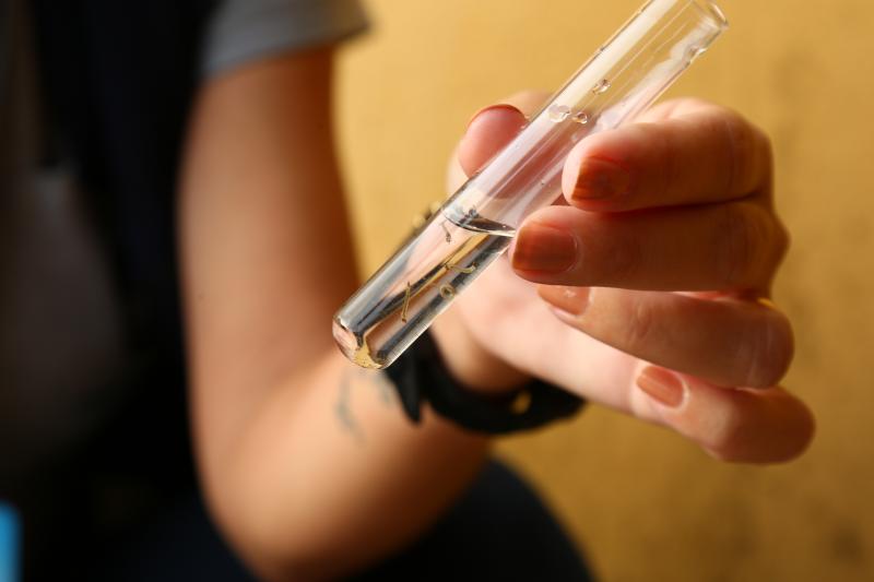 PMF segue com o  trabalho de combate à dengue no bairro Itacorubi