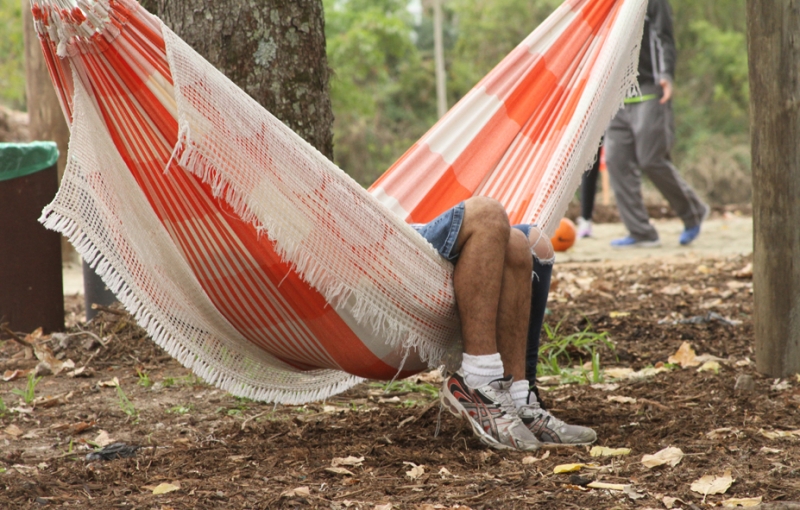 Parque Jardim Botânico registra recorde de público no fim de semana