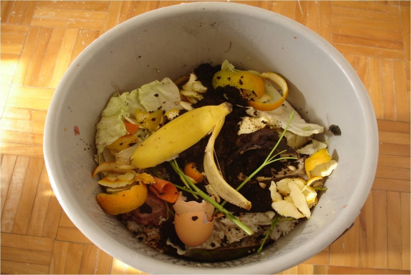 Inscrições abertas para oficinas de compostagem