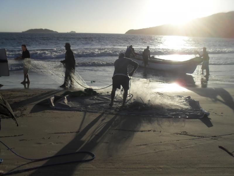Safra da tainha 2020 é aberta em Florianópolis