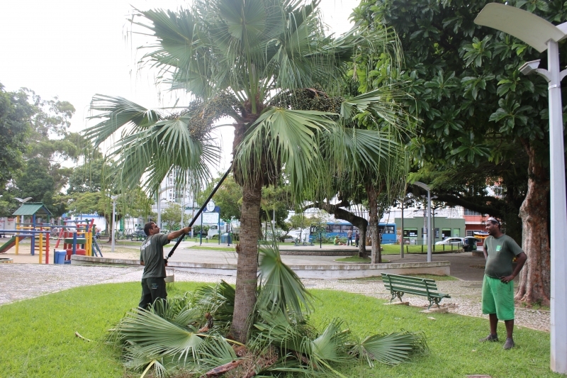 Floram otimiza custos e amplia trabalho