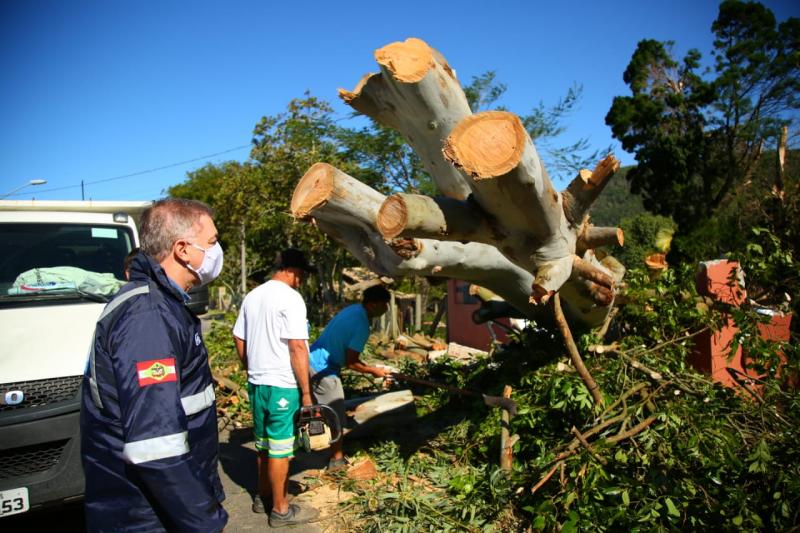 Após ciclone, Prefeitura de Florianópolis trabalha na recuperação dos danos