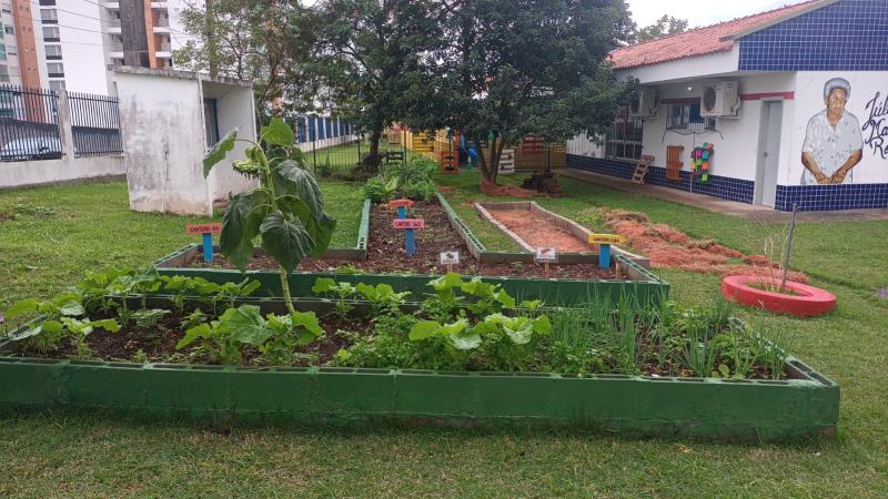 NEIM Júlia Maria Rodrigues revitaliza horta e cria projeto com crianças