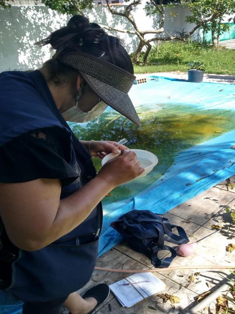 PMF finaliza ação contra dengue com 103 focos do mosquito identificados