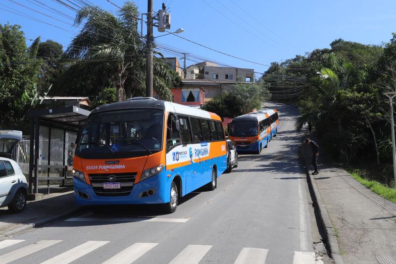 Formiguinha passa a ser gratuito a partir de 5 de janeiro