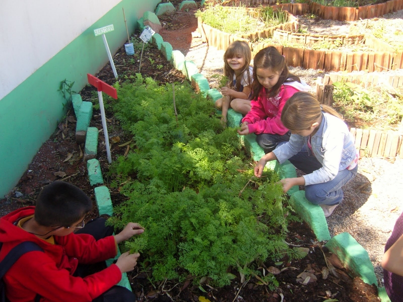 Florianópolis sedia formação nacional sobre Alimentação Escolar