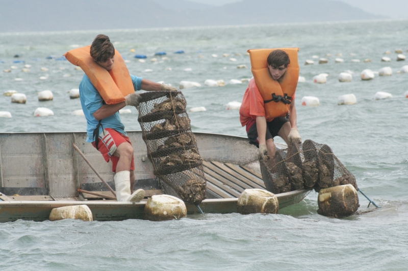 Reforma cria a Secretaria de Pesca e Maricultura