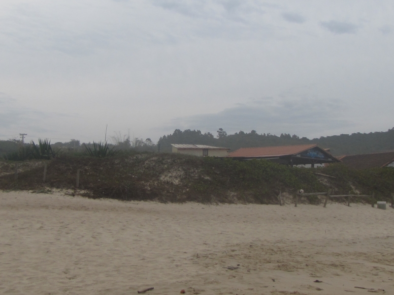 Situação das restingas em Florianópolis