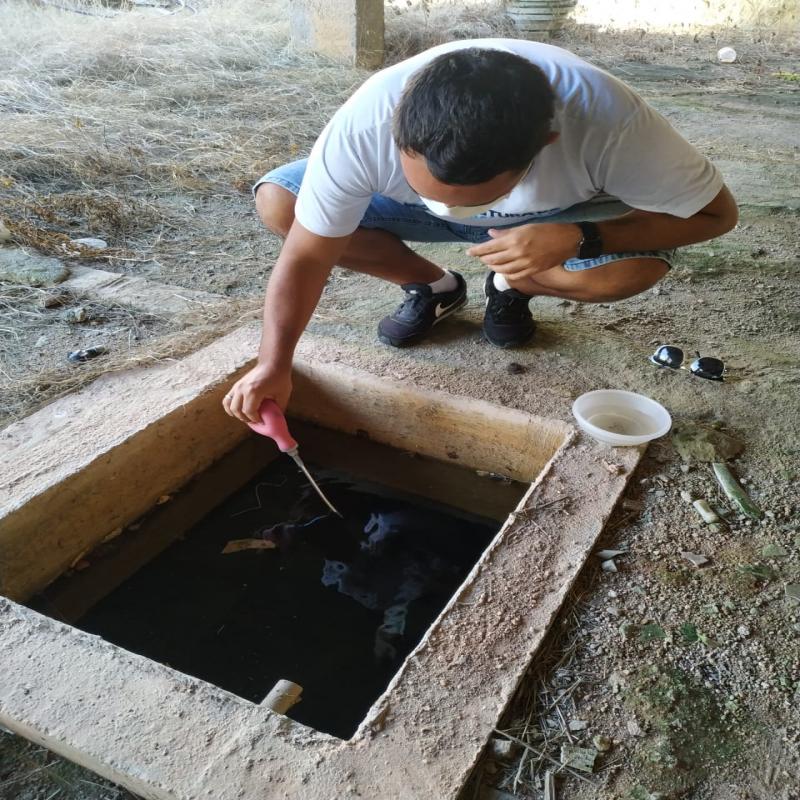 Prefeitura aplicará inseticida contra a dengue no Monte Verde nesta terça