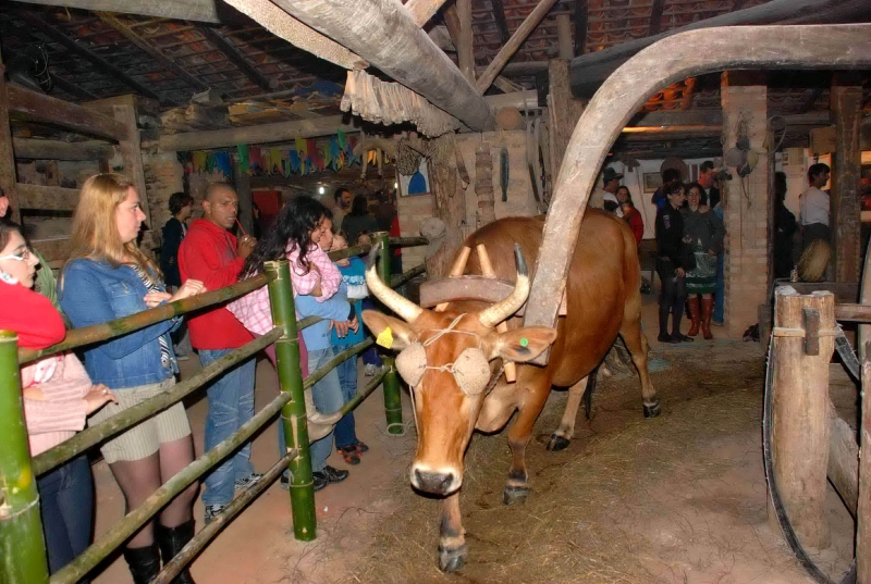 Farinhada abre festa em Santo Antonio de Lisboa