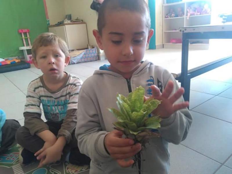 Meninos e meninas criam arranjos de plantas aéreas no NEIM Lausimar