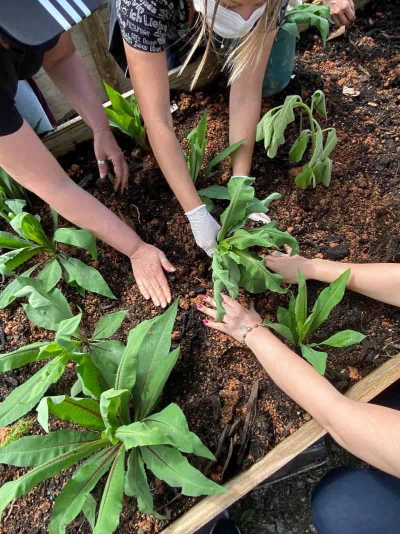 Centro de Saúde da Tapera ganha nova horta através do Cultiva Floripa