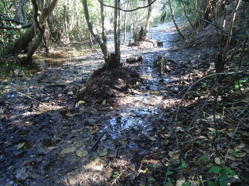 Direção da Floram intensifica fiscalização dos cursos d'água e lagoas