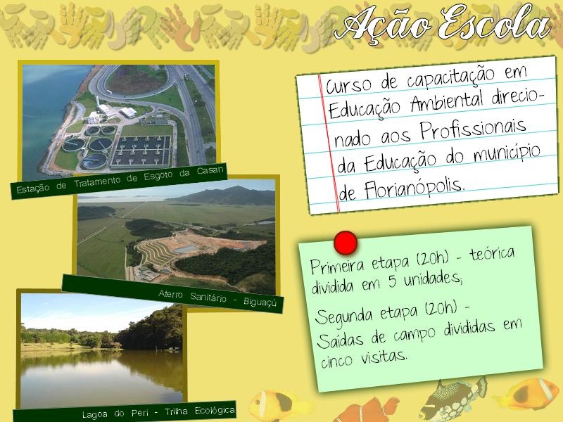 Entenda as diretrizes dos projetos de Educação Ambiental