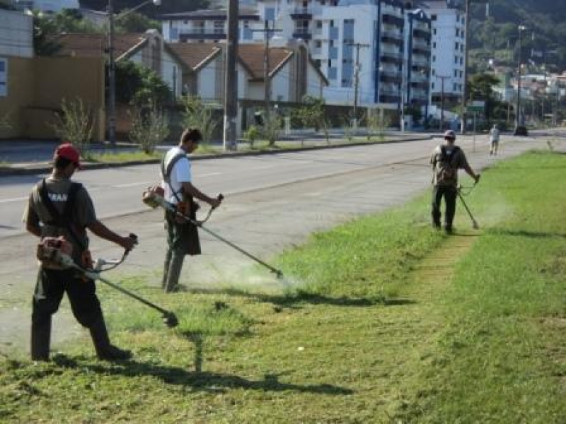 Floram realiza plantio de mudas no Saco dos Limões