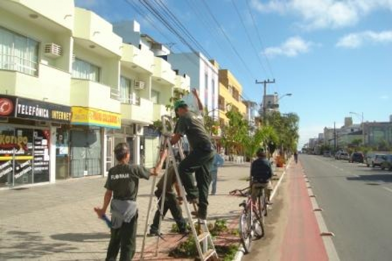 Equipe de poda da Floram  desobstrui ciclovia em Canasvieiras