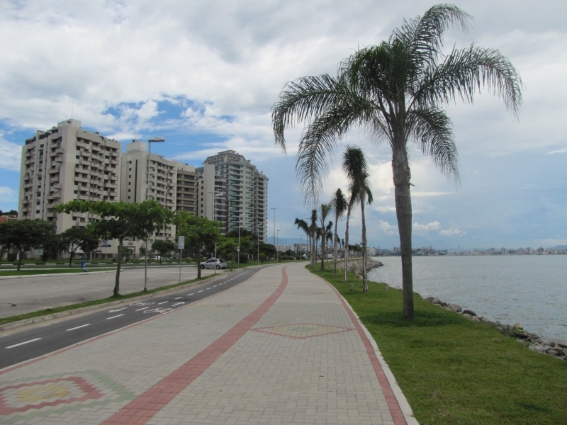 Florianópolis está entre as 10 cidades que mais plantam árvores no mundo  