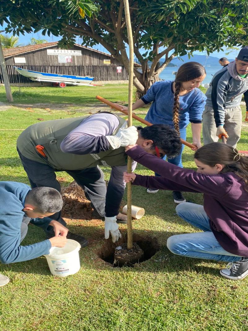 Projeto Plantando Primaveras promove plantio de árvores nativas em Canasvieiras