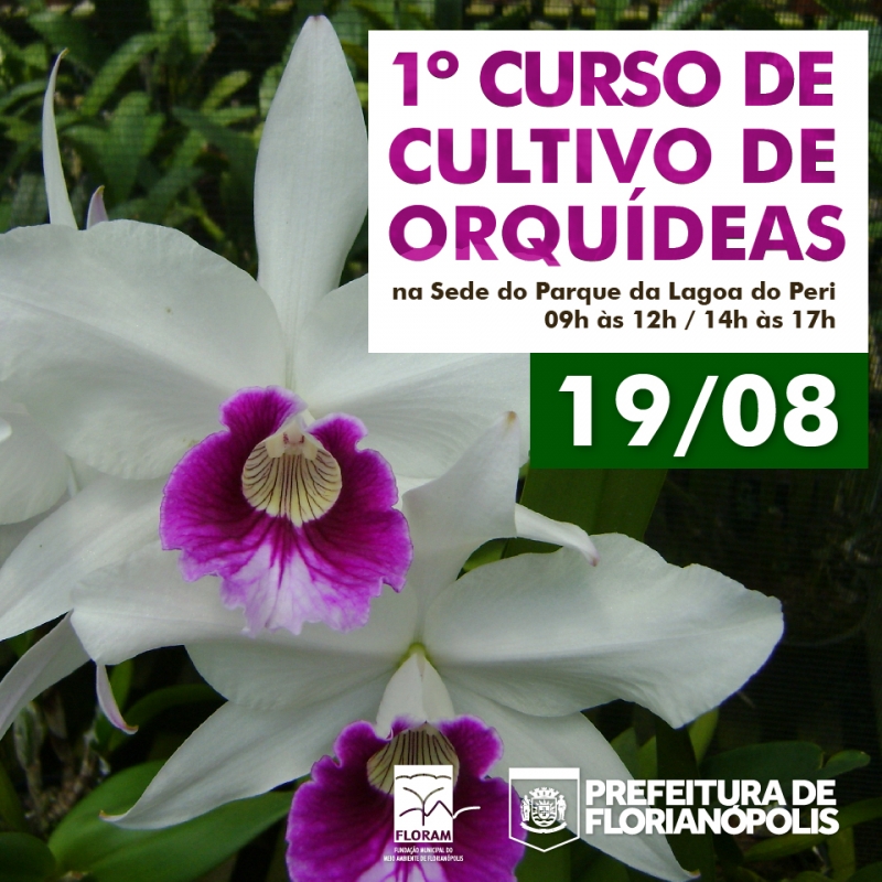 Primeiro curso de cultivo de orquídea no Parque da Lagoa do Peri
