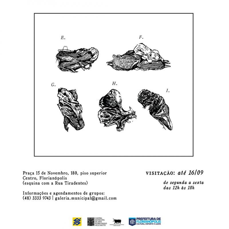 Galeria Vecchietti abre nova exposição nesta quinta-feira, 04