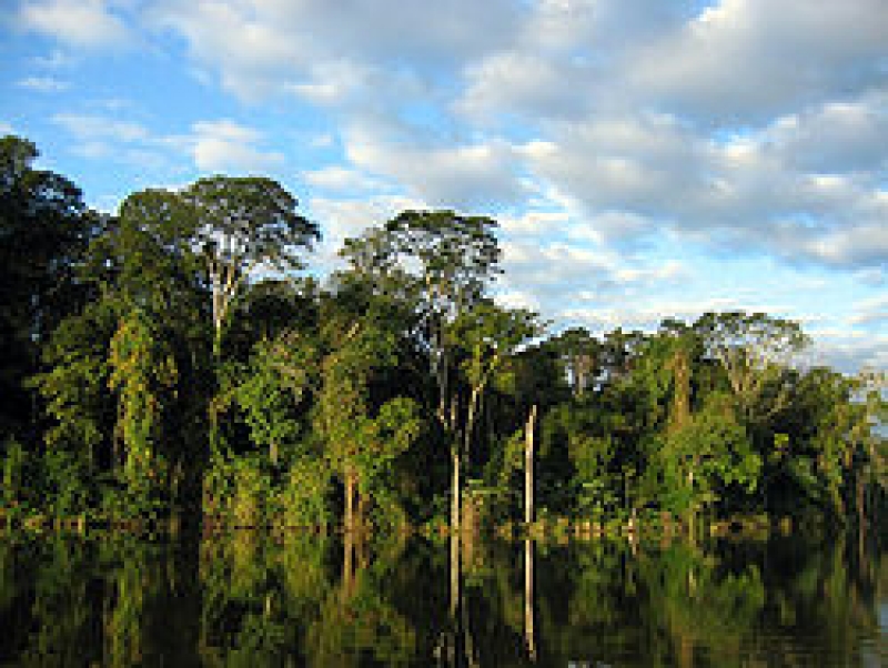 Saiba mais sobre Corredor Ecológico