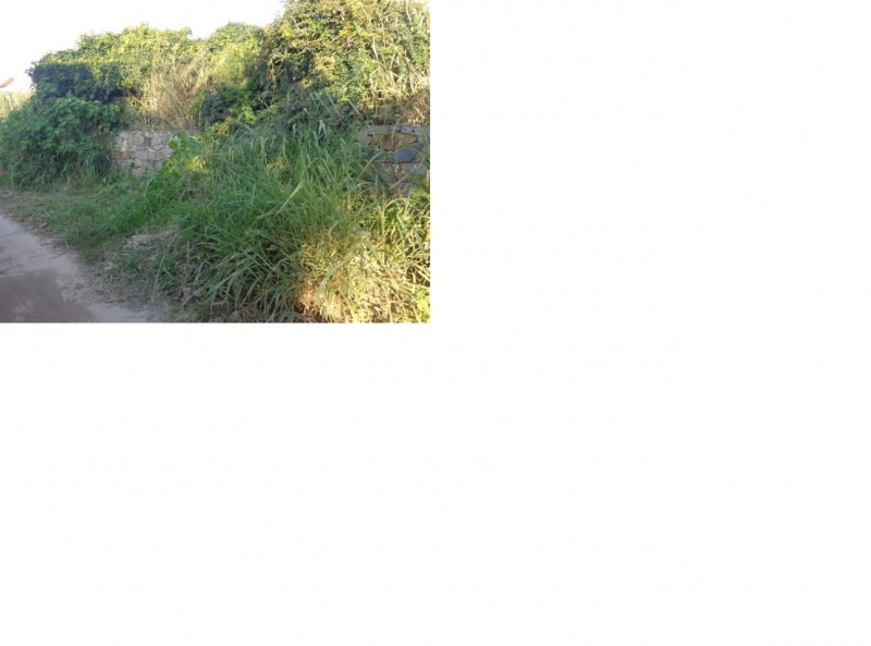 Fiscais emitem autos de infração ambiental no Bairro Areias do Campeche