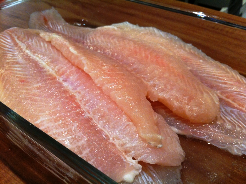 Prefeitura vai usar DNA para fiscalizar pescado