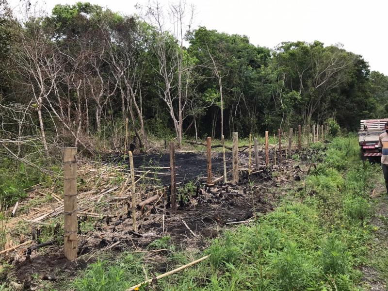 PMF age para impedir invasão e comércio de terrenos em Canasvieiras