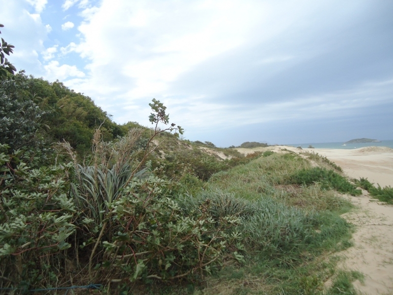 Importância da faixa de praia, dunas e áreas de restingas