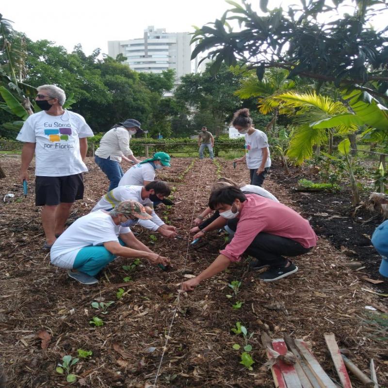 Horta do Jardim Botânico de Florianópolis é revitalizada