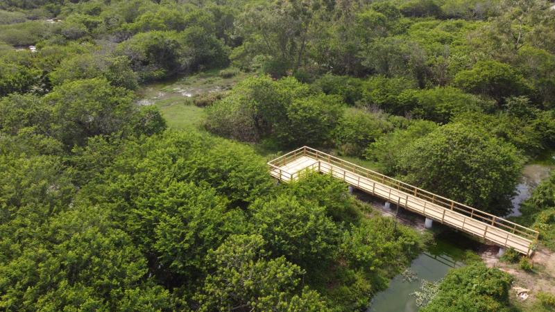 Jardim Botânico ganha decks para contemplação da fauna e flora