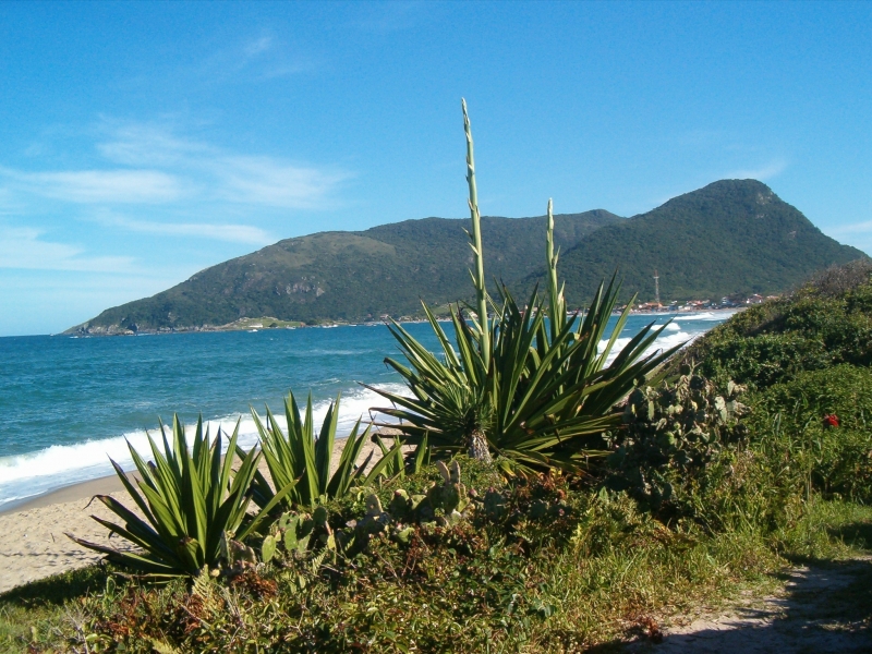 Saiba mais sobre a Política Nacional do Meio Ambiente  