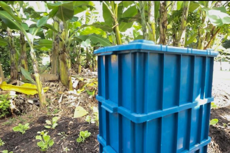 Temporada 2024 do Minhoca na Cabeça inicia com 150 vagas para oficinas de compostagem doméstica