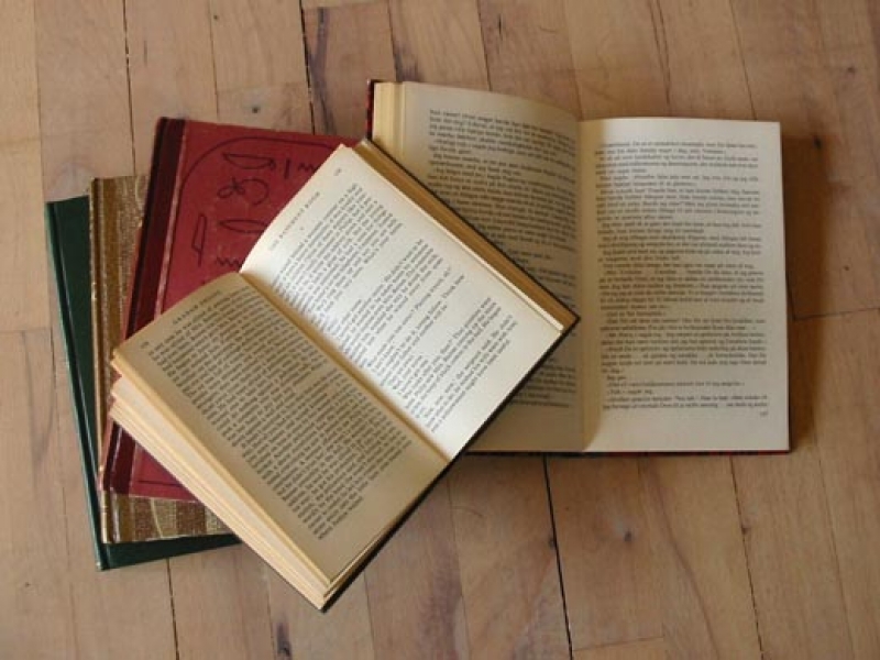 Polo UAB Florianópolis recebe doação de livros