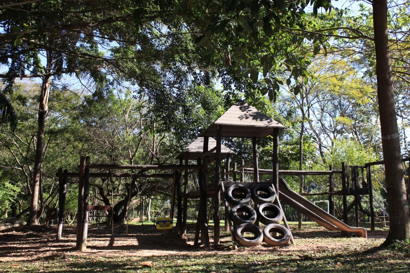 Conheça a história do Parque da Luz