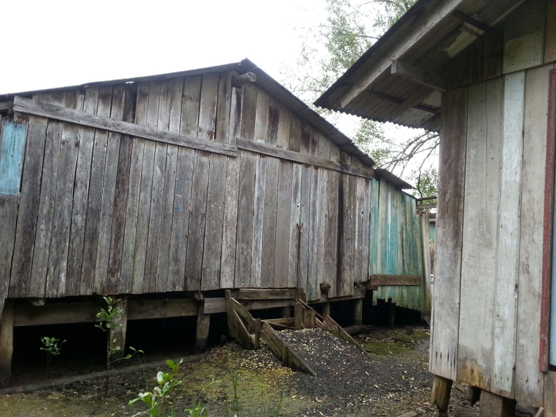 Construções irregulares são retiradas do mangue