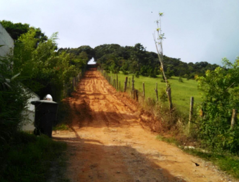 Floram flagra desmatamento nos Ingleses