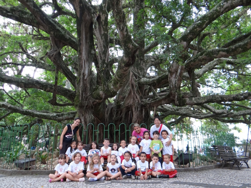 Pequenos Exploradores