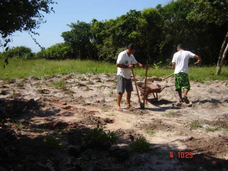 Conheça os instrumentos da Política Nacional do Meio Ambiente  