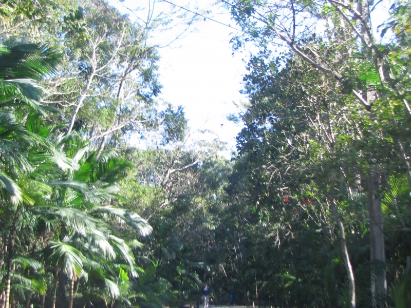 Parque Ecológico do Córrego Grande é um local de lazer e educação