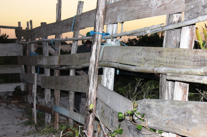 Floram derruba estrutura irregular no Santinho