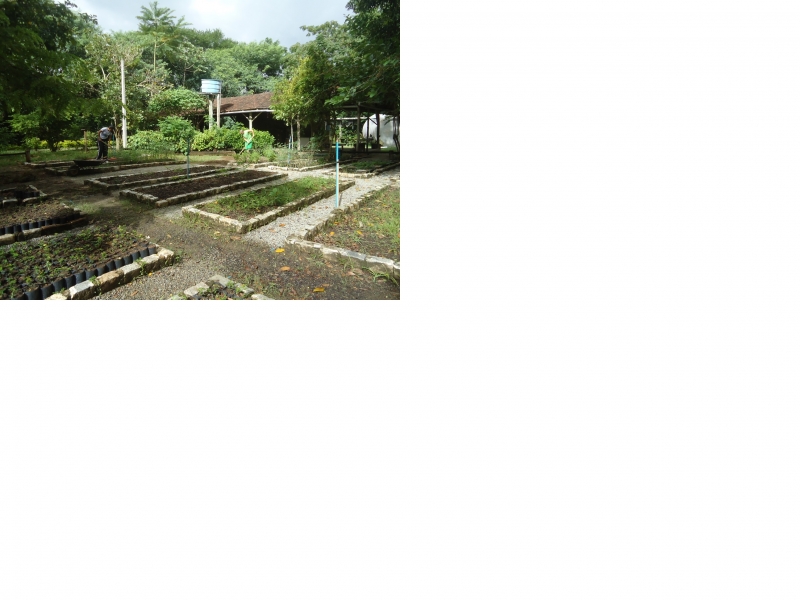 Inicia Curso de Agricultura Urbana 