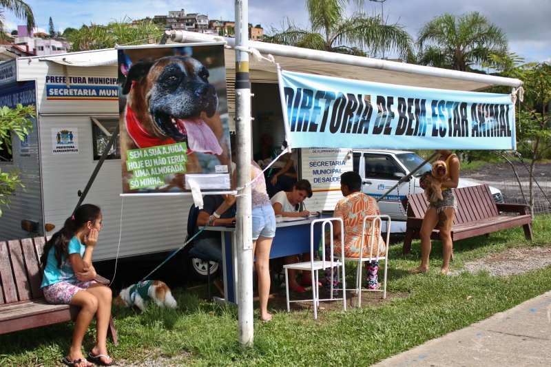 Coqueiros: 400 animais recebem microchip