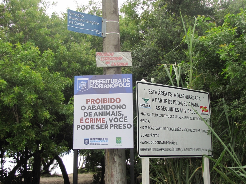 Abandono de animais é objeto de campanha