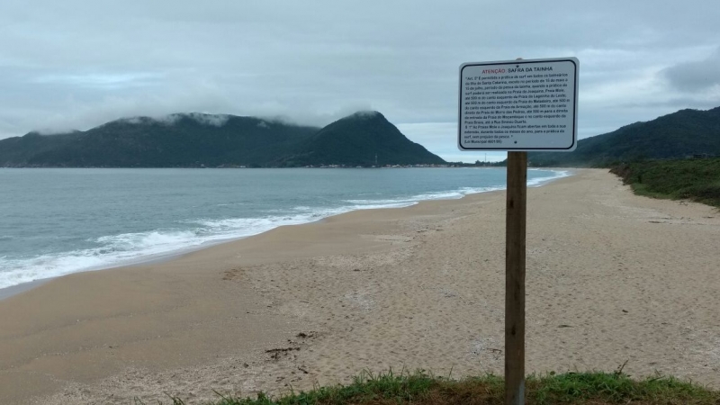 Prefeitura sinaliza praias da Capital durante safra da tainha