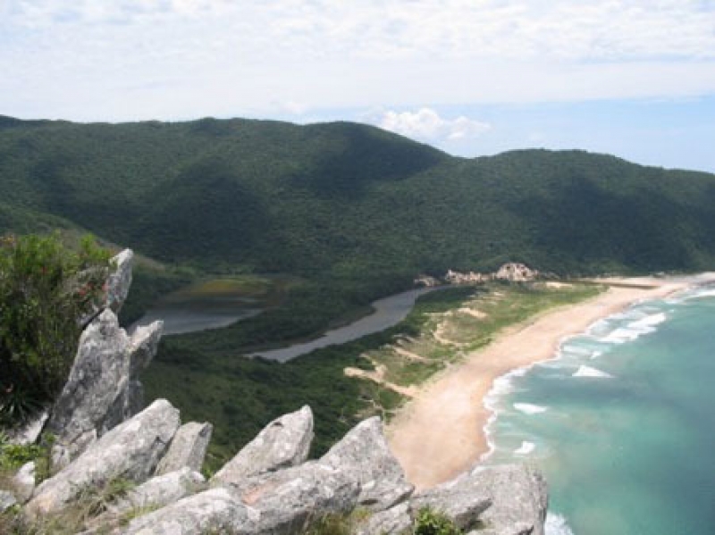 Balanço de julho da Central de Denúncias Ambientais